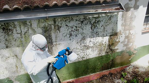 Trusted Mold Inspection service in Hillsboro, OR - Cheap Mold Removal